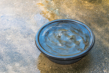 Black plastic container placed on the floor filled with water .