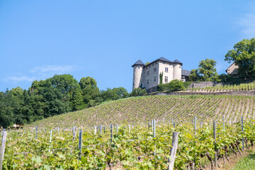 Fototapeta na wymiar Chateau de Monterminod, Chambéry