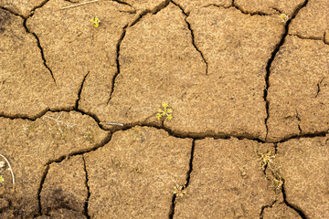 cracked earth texture drought barren soil