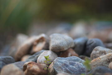 Fototapeta na wymiar rocas en la naturaleza