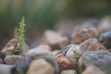 rocas en la naturaleza