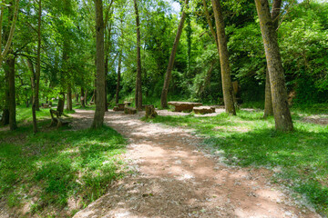 Obraz premium Landscape of some old stone and wood picnic tables in the Parc el Moli Nou