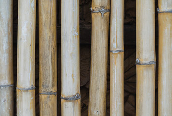 Picture of a fence made of wood material, this fence line is made of bamboo which has been treated...