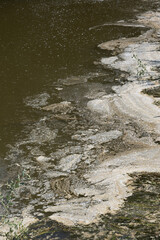 Fototapeta na wymiar Dirty Water In River Bay