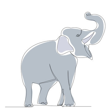 gray elephant drawing by one continuous line, isolated