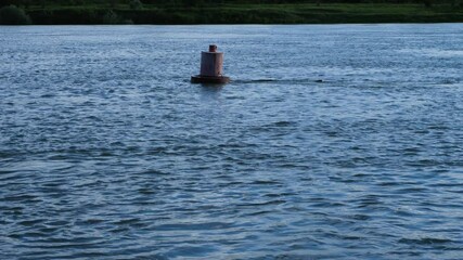 Red navigation buoy in the river at sunset. A static frame. Medium plan