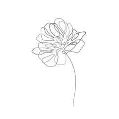 One Line Drawing Vector Flower. Floral Modern Single Line Art, Aesthetic Contour. Perfect for Home Decor, Posters, Prints, Wall Art, Tote Bag, t-shirt, Sticker, Mobile Case. Flower Drawing.