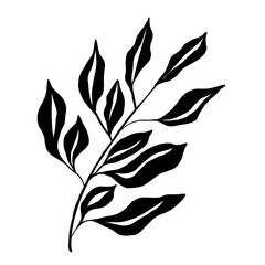 Doodle illustration of outline flower, leaves. Floral graphics