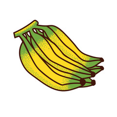 Bunch of bananas. Vector doodle illustration on white background.