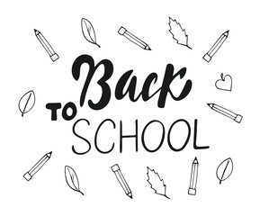 Back to school creative banner with pencils and leaves - sketch on the blackboard, vector illustration.