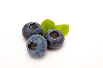 Blueberry on a white background.
흰 배경 위의 블루베리