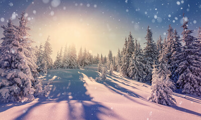 Amazing athmospheric Landscape. winter scenery at sunset. retro, vintage filter. postcard. Snow covered tree under sunlight. Sunlight sparkling in the snow. winter nature background. christmas concept