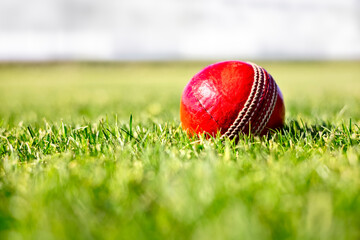Cricket ball on green grass of cricket pitch background