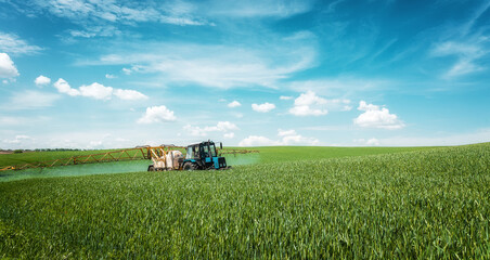 Fototapeta premium Amazing natural landscape with fresh green wheat field and perfect blue sky. Tractor spraying pesticides on Agricultural field with sprayer. Agricultural and rich harvest concept. Rural nature scenery