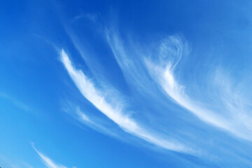 Fototapeta na wymiar White Clouds on the blue sky.