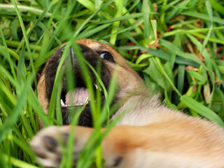 the game is in full swing