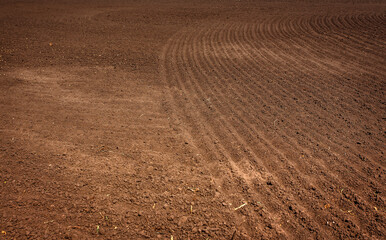 Naklejka premium View on fertile soil in organic agricultural farm. Dirt soil ground in farm. Black soil prepared for planting crop. Agriculture plowed field. Rich harvest concept.