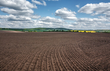 Wonderful agriculture plowed field.  Black soil prepared for planting crop and blue perfect sky. Dirt soil ground in farm. Rich harvest concept. Agricultural  background. Concept of farming