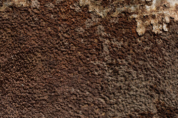 Texture of old rusty grungy metal hard grimy sheet. Uneven aged rough bumpy surface. Corrugated damaged smudged iron. Rusted pitted retro prison wall. Vintage dirty destroyed dungeon for grunge design