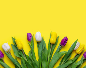 fresh bright tulips on yellow background postcard copy space