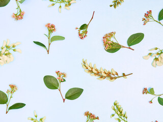 Summer flowers pattern on a blue background. Top view, flat lay.