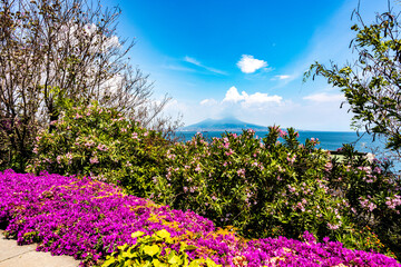 La veduta del Vesuvio a Napoli con i fiori
