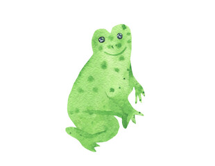 Watercolor cute green frog isolated background. Mystical illustration for halloween hand painted. Design for social media, cards, packaging, sticker, invitation card, web,print.
