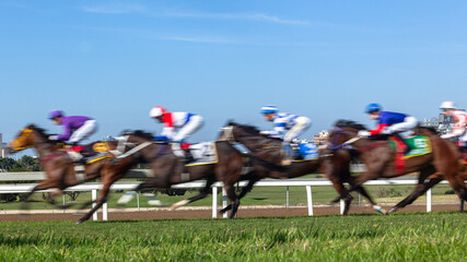 Horses Racing  Jockeys Riding  Panoramic Motion Speed Blur Closeup Photo Action Image. - 439280101