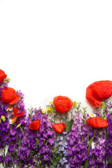 Fototapeta na wymiar Flower arrangement of red poppies with place for text. Floral background. Spring mood. Copy space