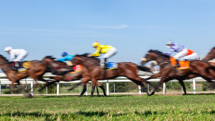 Horses Racing  Jockeys Unrecognizable Riding  Panoramic Motion Speed Blur Closeup Photo Action Image. - 439280186