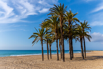 Obraz na płótnie Canvas Views of Villajoyosa beach with its palm trees in the foreground .