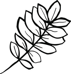 Vector hand drawn doodles different leaves set, linned tree leaves, drawn elements