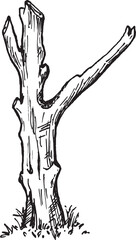 Fototapeta premium twigs. Nature Forest Hand drawn Elements