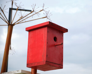 Red wooden bird house in the city