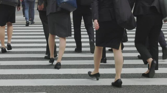 横断歩道を渡る就職活動する学生たちの後ろ姿