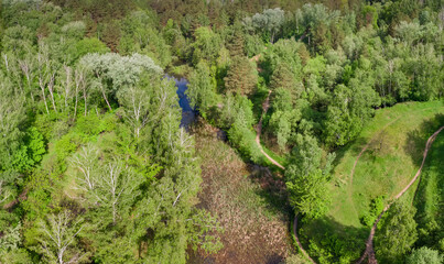 Small forest lake overgrown with reeds, aerial view in summer