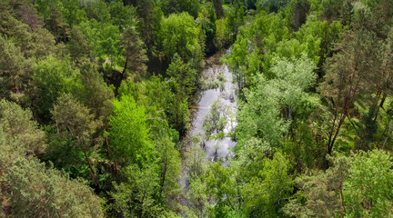 Fototapeta na wymiar Small overgrown forest lake, aerial view in summer