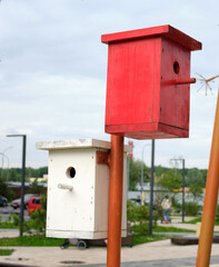 Colored wooden bird houses in the city