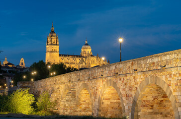 view of the cathedral and the Roman bridge in Salamanca, Spain.
