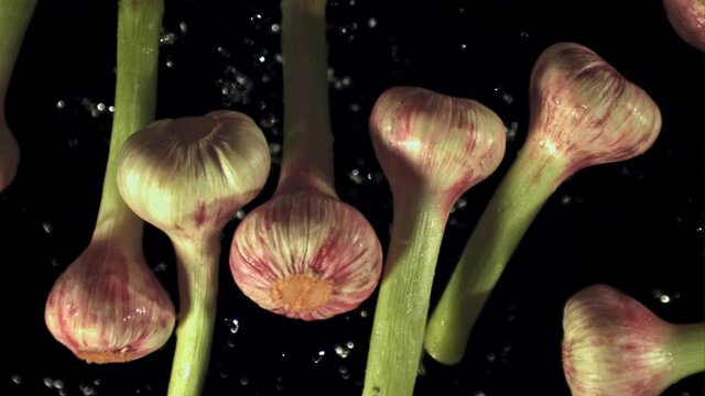 Super slow motion fresh garlic with drops of water. On a black background. Filmed on a high-speed camera at 1000 fps.High quality FullHD footage