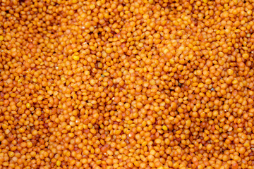 Red Lentil. Close-up lentil grains. Lentils as background texture