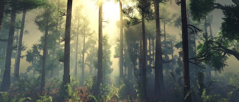 Forest in the rays of the sun, trees in the fog in the morning, sunset in the park in the haze, 3D rendering