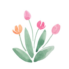 Obraz premium Simple tulips set, abstract watercolor free-hand illustration for postcard, invitation, banner