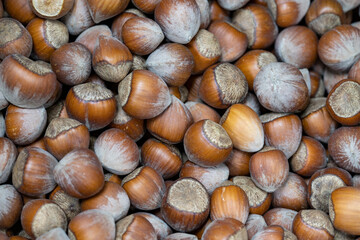 Shelled hazelnuts. close up. Shelled hazelnuts as background texture