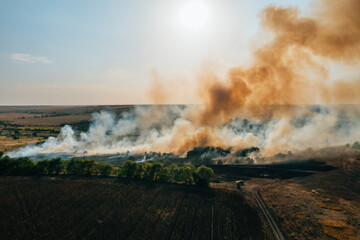 Forest and field fire with smoke aerial view, burning dry grass and trees, natural disaster.
