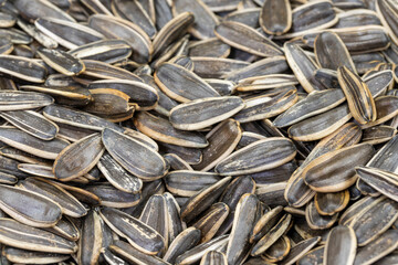 Sunflower seeds. close up. sunflower seeds as background texture