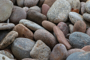 sea stones on top of each other with dead leaves and dirt