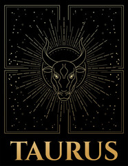 vector illustration of taurus in gold and black colours and abstractions cosmos