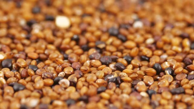 Canihua Seeds Rotating Background. Organic Superfood Chenopodium Pallidicaule as Goosefoot Quinoa