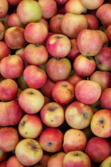 Red Apple. close up. Apple as background texture